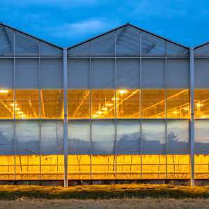 Industrial Lighting