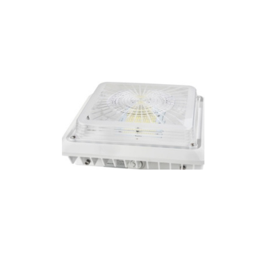 LED Canopy Light