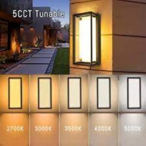 W1215| Wall Light