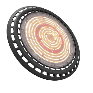 LED GROW LIGHTS: EDEN-H